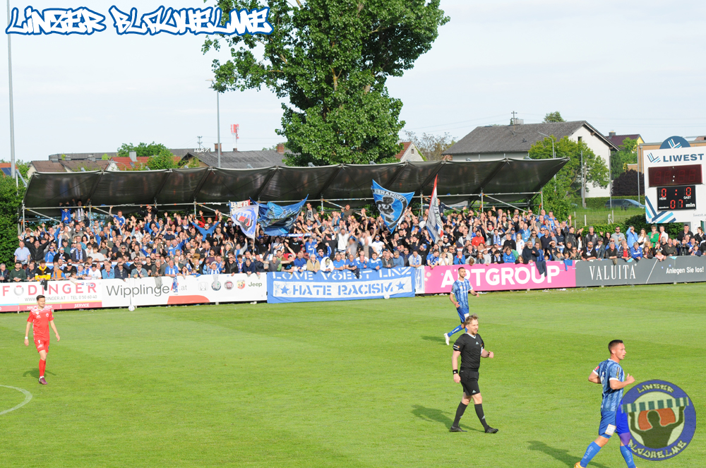 FC Blau Weiss Linz vs. SV Horn