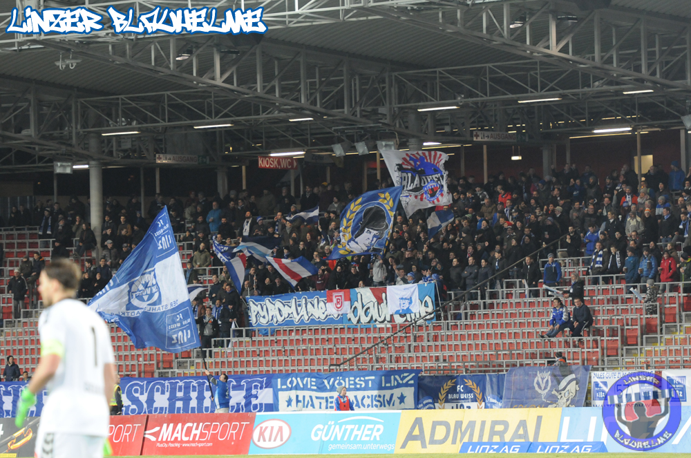2:2 Unentschieden gegen Ried