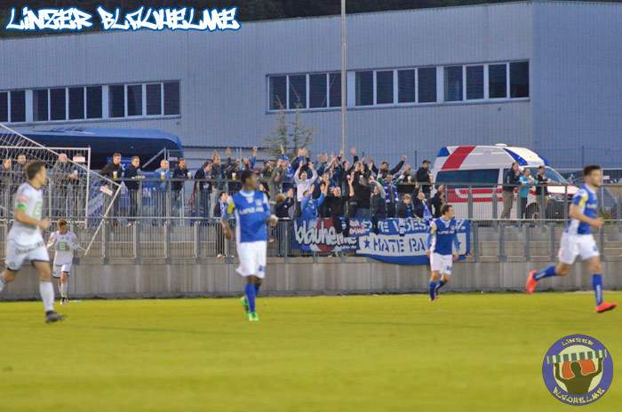 1:1 bei den Sturm Amateuren
